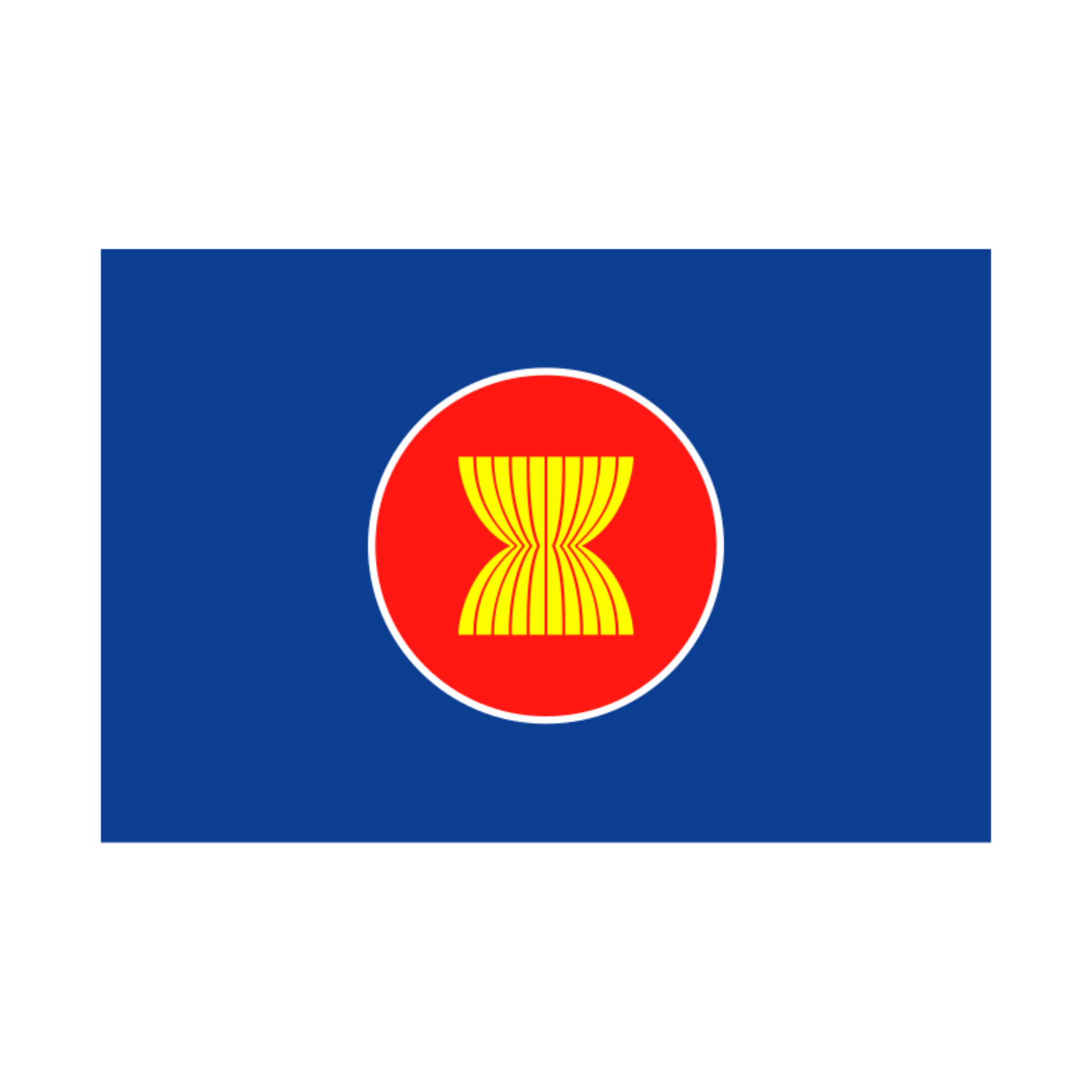 Флаг команды