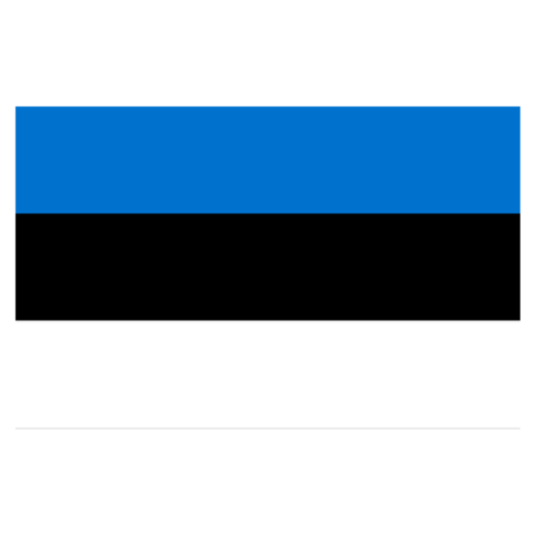 Estonia flag