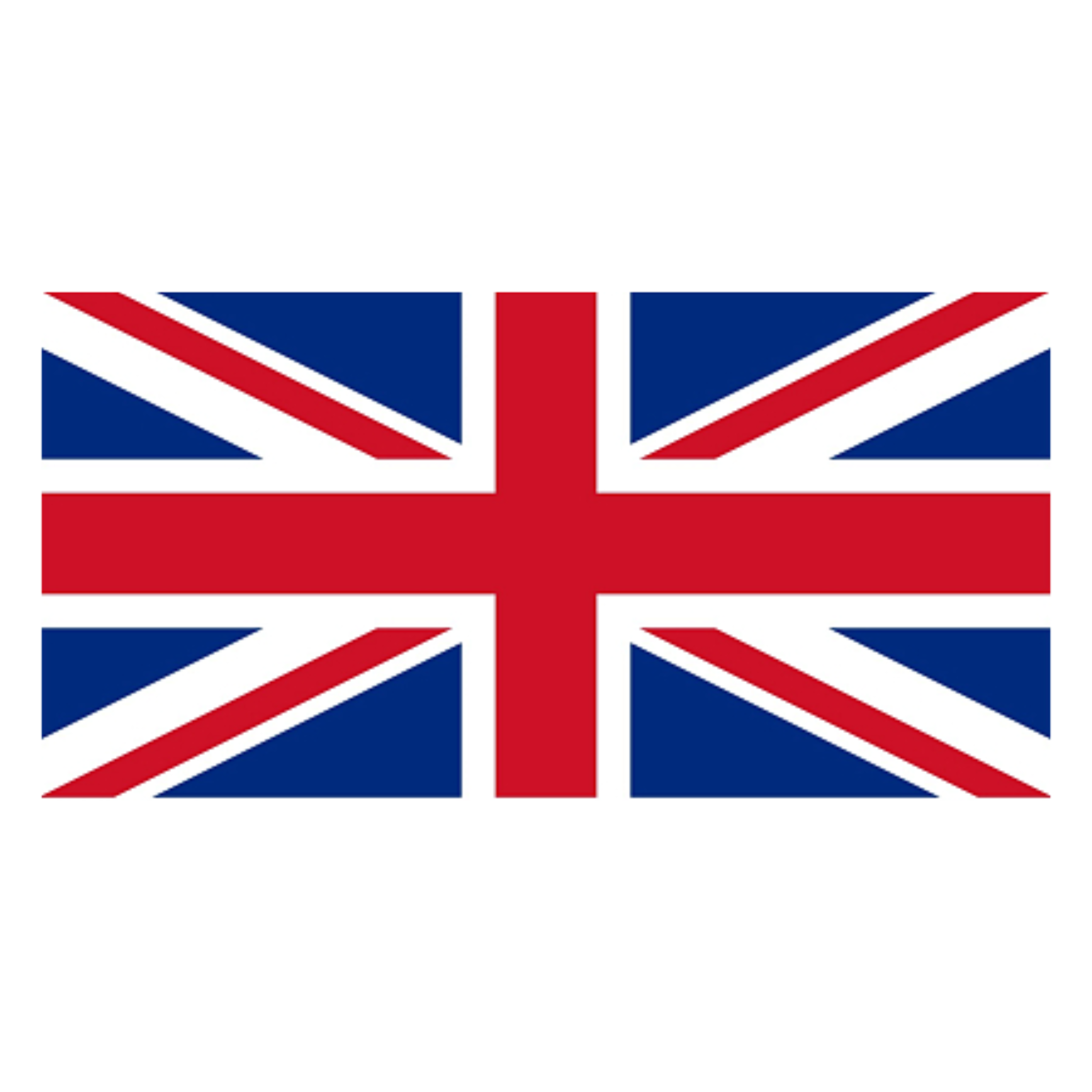 Флаг турнира