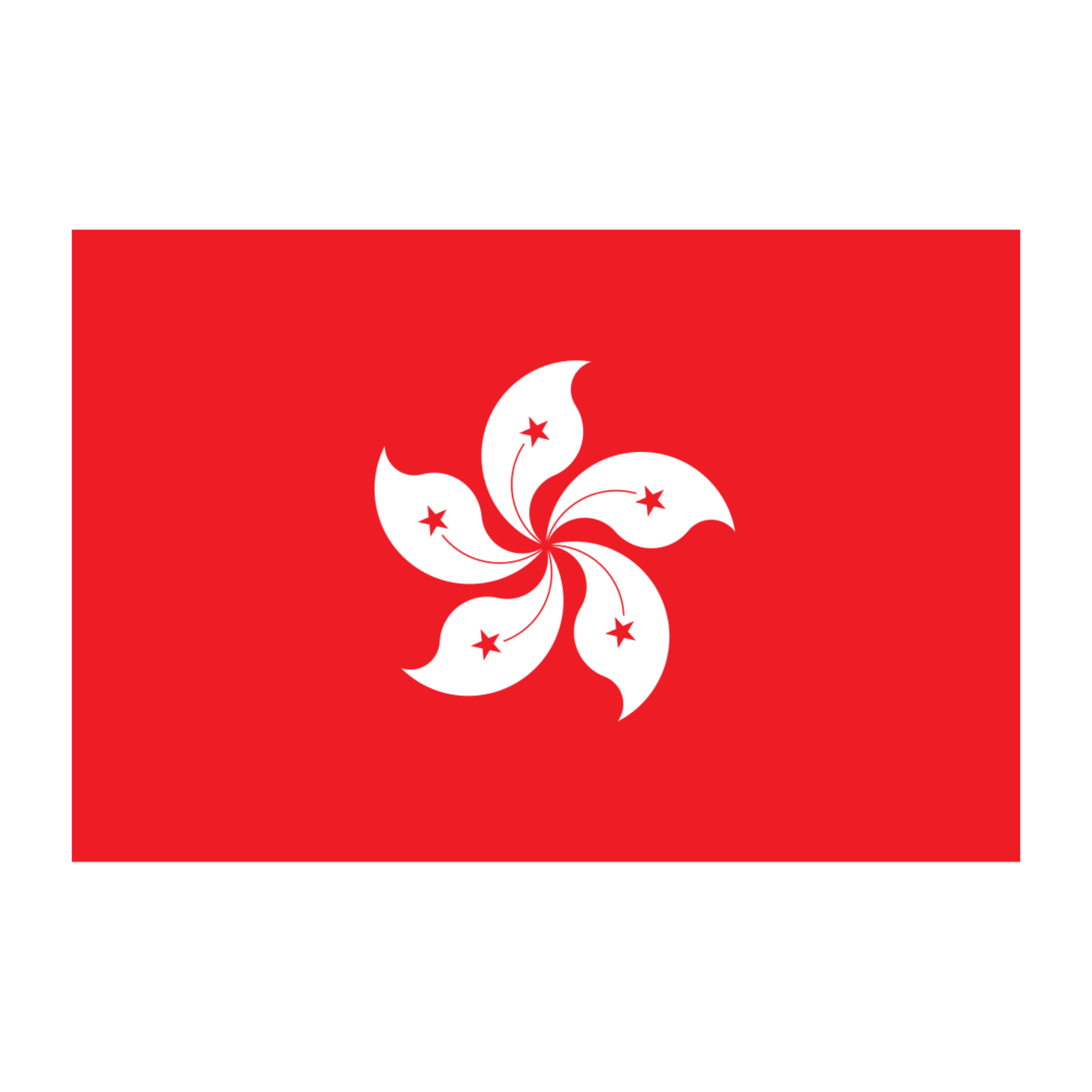 Флаг турнира