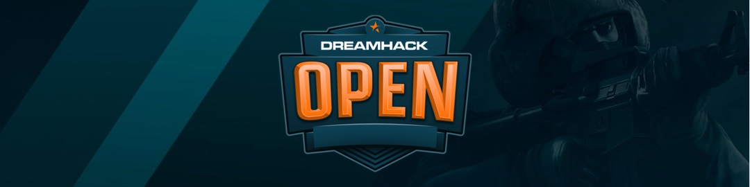 Баннер турнира DreamHack Open Rio 2019