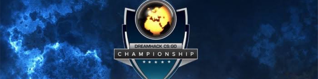 Баннер турнира DreamHack Winter 2014