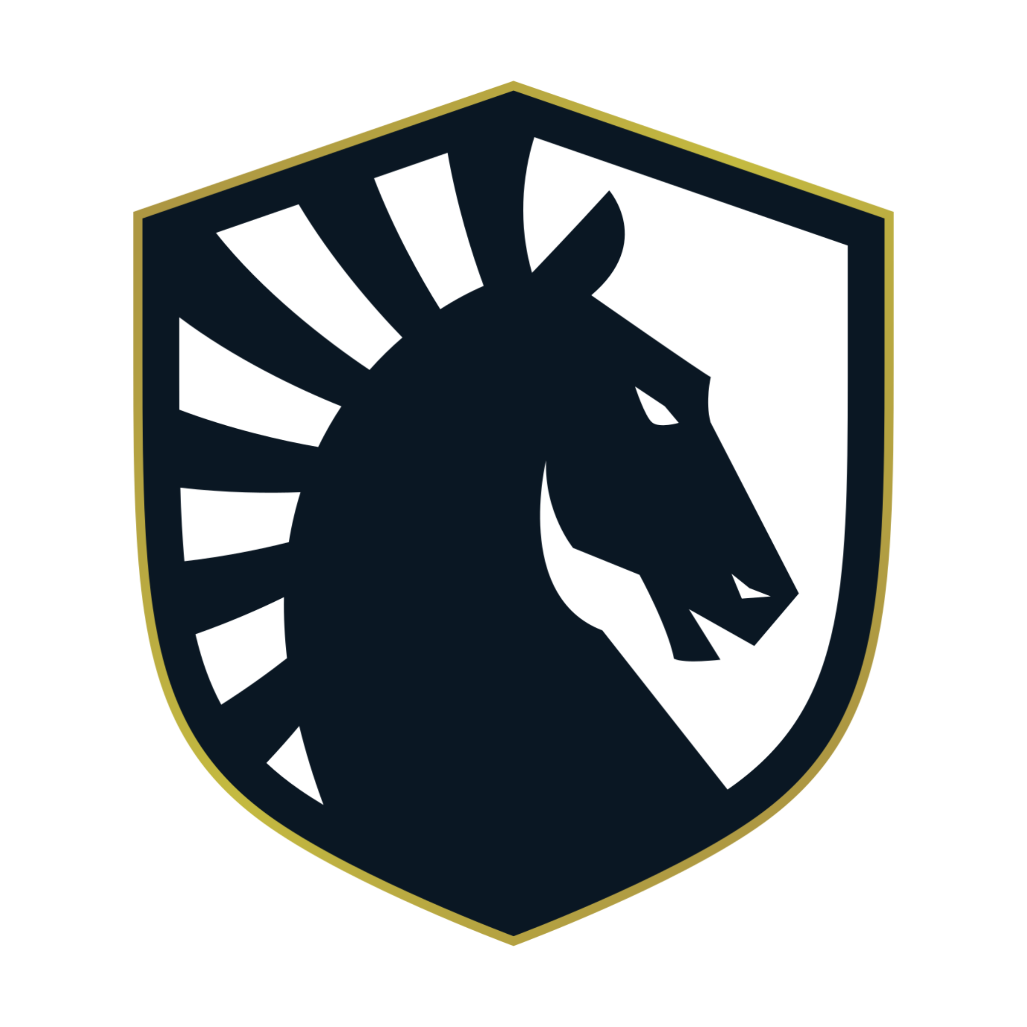 Liquid logo