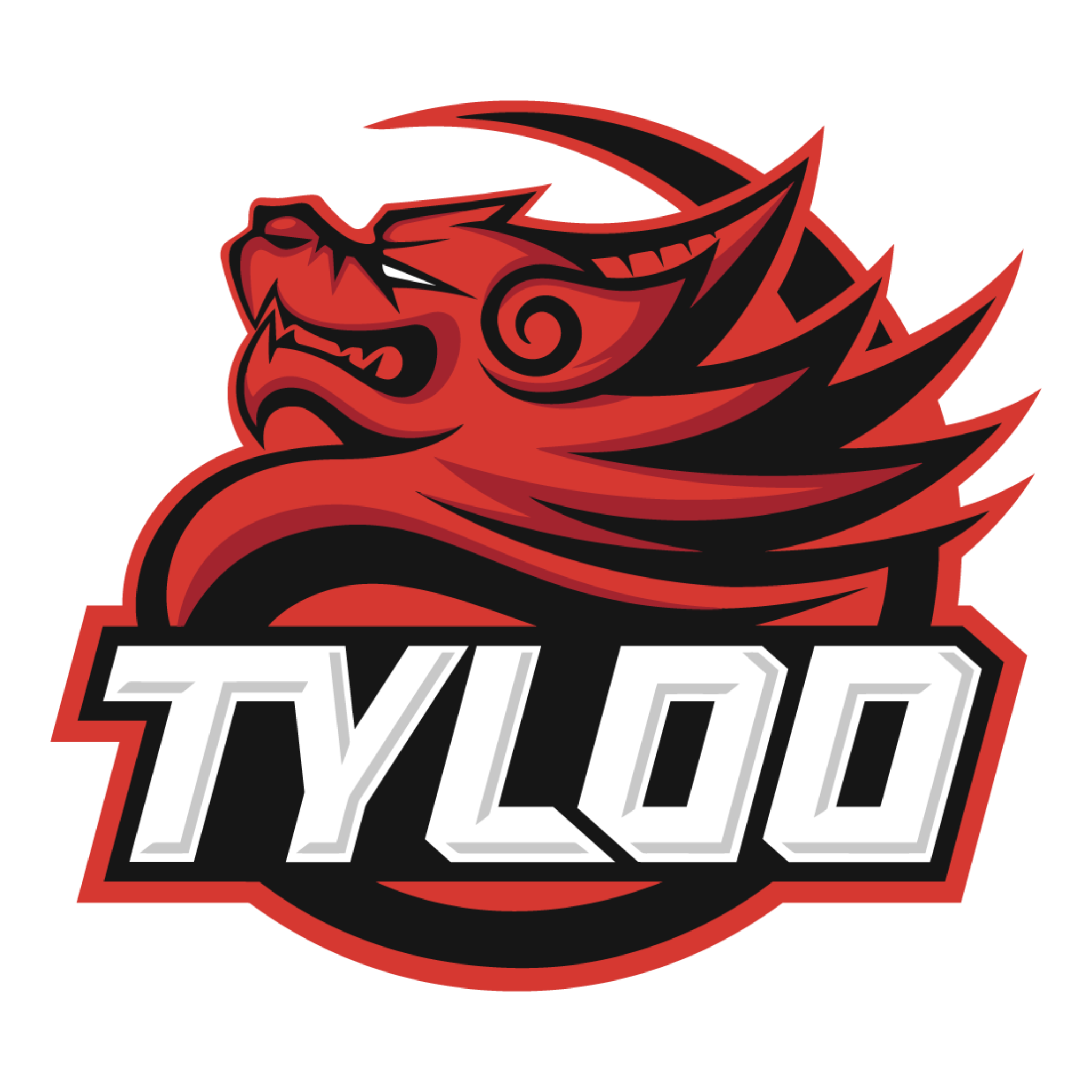 TyLoo logo