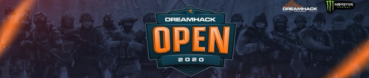 Баннер турнира DreamHack Open December 2020