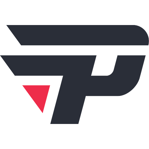 PaiN logo